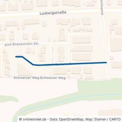 Henri-Dunant-Straße Oer-Erkenschwick Rapen 