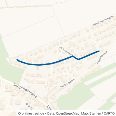 Schubertstraße 74909 Meckesheim 
