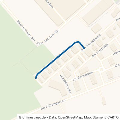 Zaunstraße Saarbrücken Burbach 