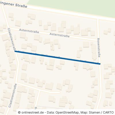 Nelkenstraße 49828 Neuenhaus Grasdorf 