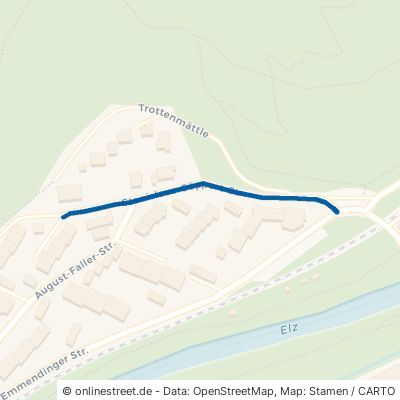 Stanislaus-Göppert-Straße 79183 Waldkirch 