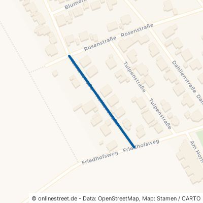Nelkenstraße 97355 Kleinlangheim 