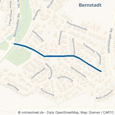 Blumenstraße 89182 Bernstadt 