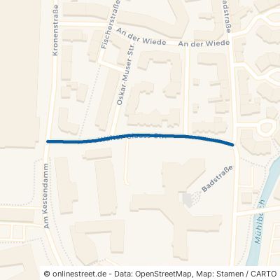 Walter-Clauss-Straße 77652 Offenburg Stadtmitte 