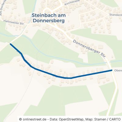 Brühlstraße Steinbach am Donnersberg 