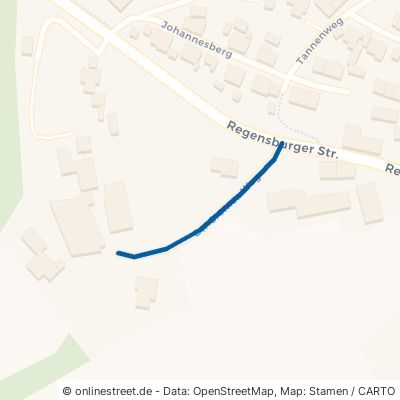 Dr.-Cremer-Weg 92521 Schwarzenfeld Traunricht 