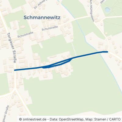 Alte Lindenstraße Dahlen Schmannewitz 