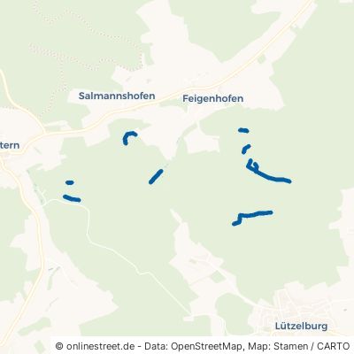 Waldweg Biberbach Feigenhofen 