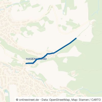 Hasengrund Offenburg Zell-Weierbach 