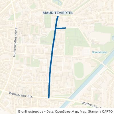 Andreas-Hofer-Straße Münster Mauritz 