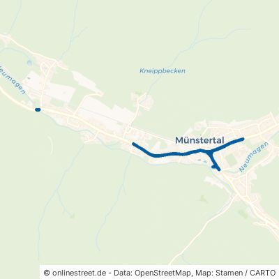 Wasen Münstertal Untermünstertal 