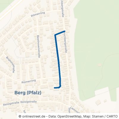 Gartenstraße 76768 Berg (Pfalz) 