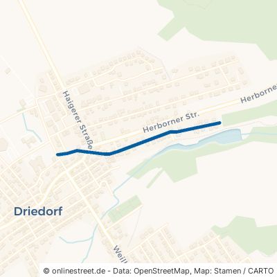 Am Wallgraben Driedorf 