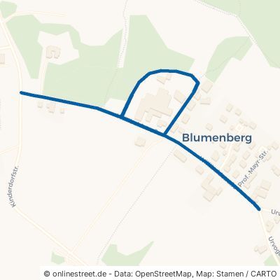 Willibaldstraße Eichstätt Blumenberg 
