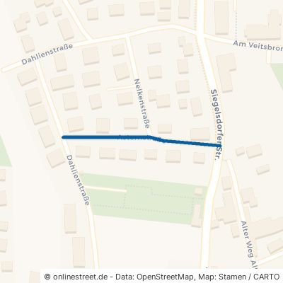 Asternstraße 90556 Seukendorf 