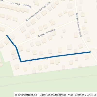 Asternweg 06118 Halle (Saale) Gottfried-Keller-Siedlung Stadtbezirk Nord