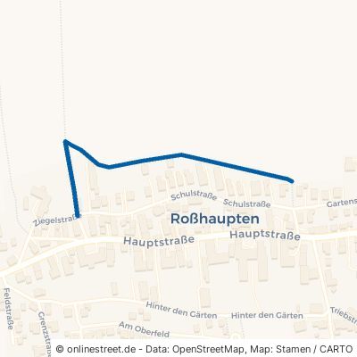 Haldenwanger Straße Röfingen Roßhaupten 
