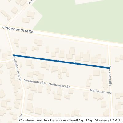 Asternstraße 49828 Neuenhaus Grasdorf 
