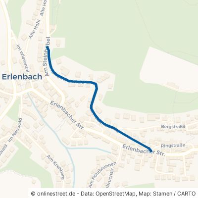 Am Buchenwald Kaiserslautern Erlenbach 