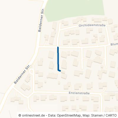 Anemonenstraße 73485 Unterschneidheim Zöbingen 