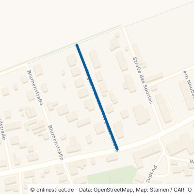 Torgauer Straße Liebschützberg Borna 
