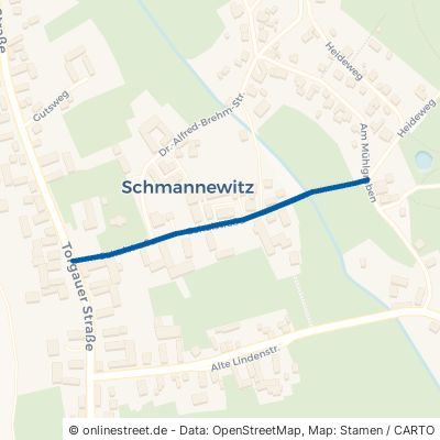 Schulstraße Dahlen Schmannewitz 