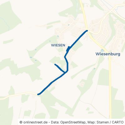 Kirchberger Straße Wildenfels Wiesen 
