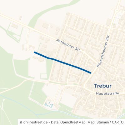 Theobaldstraße Trebur 