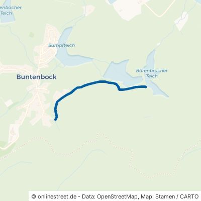 Ziegenbergweg Clausthal-Zellerfeld Buntenbock 