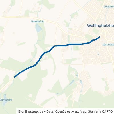 Dissener Straße Melle Wellingholzhausen 