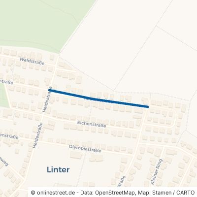 Tannenstraße Limburg an der Lahn Linter 