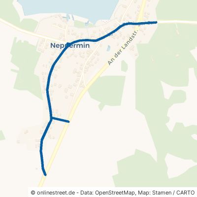 Lyonel-Feininger-Straße Benz Neppermin 
