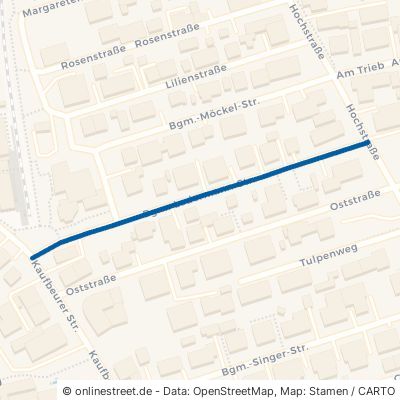 Bürgermeister-Ledermann-Straße Bad Wörishofen 