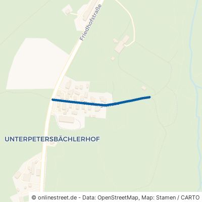 Siedlungsstraße Fischbach bei Dahn Gebüg 