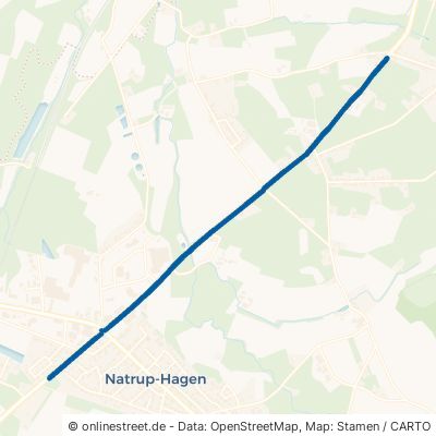 Lengericher Straße Hagen am Teutoburger Wald Natrup-Hagen 