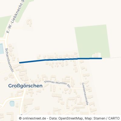 Kitzner Weg 06686 Lützen Großgörschen 