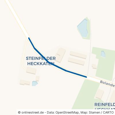 Steinfelder Heckkaten Feldhorst 
