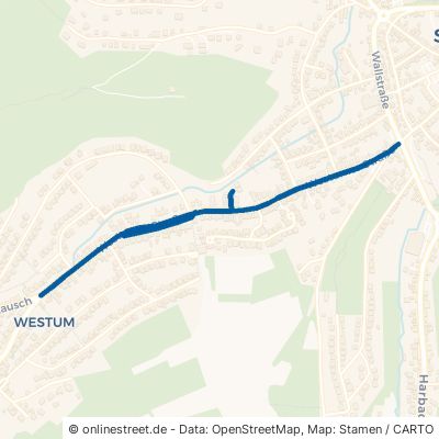 Westumer Straße Sinzig Westum 