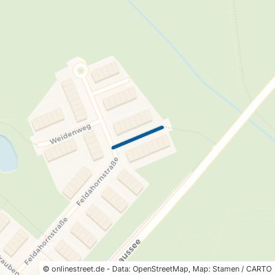 Spitzahornweg 16567 Mühlenbecker Land Schönfließ