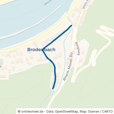 Salzwiese Brodenbach 