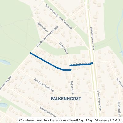 Am Falkenhorst 15738 Zeuthen 