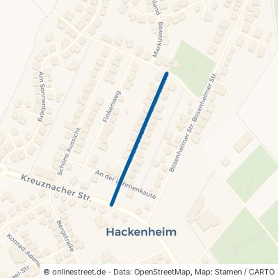 Mainzer Straße 55546 Hackenheim 