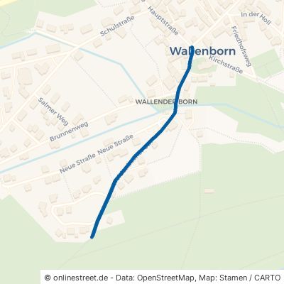 Weidenbacher Straße Wallenborn 