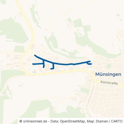 Dottinger Straße Münsingen 