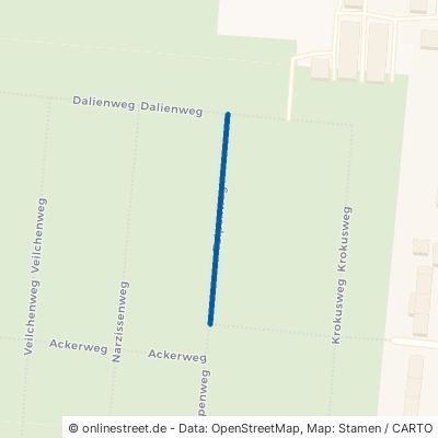 Tulpenweg Dessau-Roßlau Kleinkühnau 