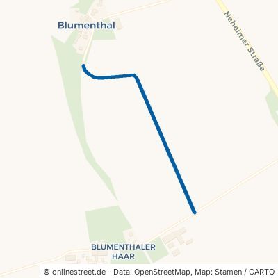 Kleine Trift 59457 Werl Blumenthal 