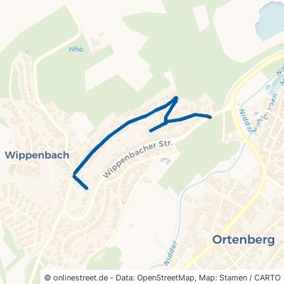 In Den Wingerten Ortenberg Wippenbach 