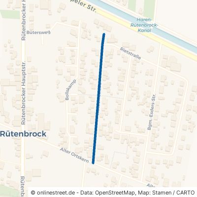 Rotdornstraße Haren Rütenbrock 