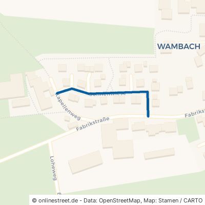 Sonnenwiese Mainburg Wambach 
