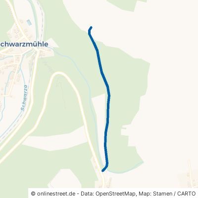 Tannenweg Schwarzatal Meuselbach 